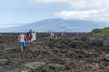 Tourists at Volcanic Beach - Galapagos Islands clipart