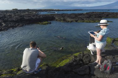 galapagos Adaları deniz aslanı turist çekme resmi