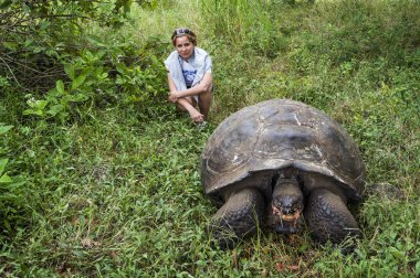 turist ve galapagos dev kaplumbağa