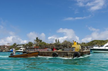 Kargo mavna galapagos Adaları