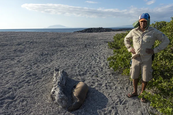 Tourist with sea lion on Galapagos islands — Stock Photo, Image