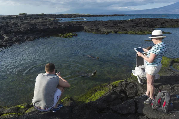 Turista tirando fotos de leão-marinho nas ilhas Galápagos — Fotografia de Stock