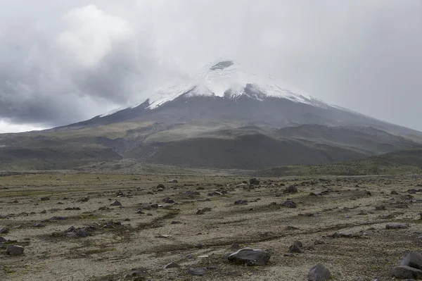 Cotopaxi vulcano, Ecuador — Stock Photo, Image