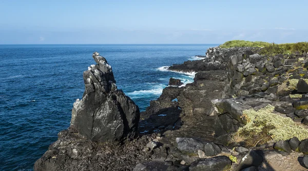 Galapagos landscape — Stock Photo, Image