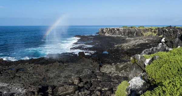 Galapagos-Landschaft — Stockfoto