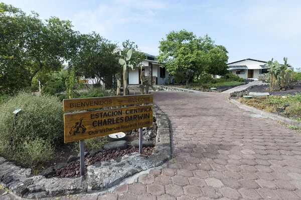 Darwin research station, santa cruz, Galapagoseilanden — Stockfoto