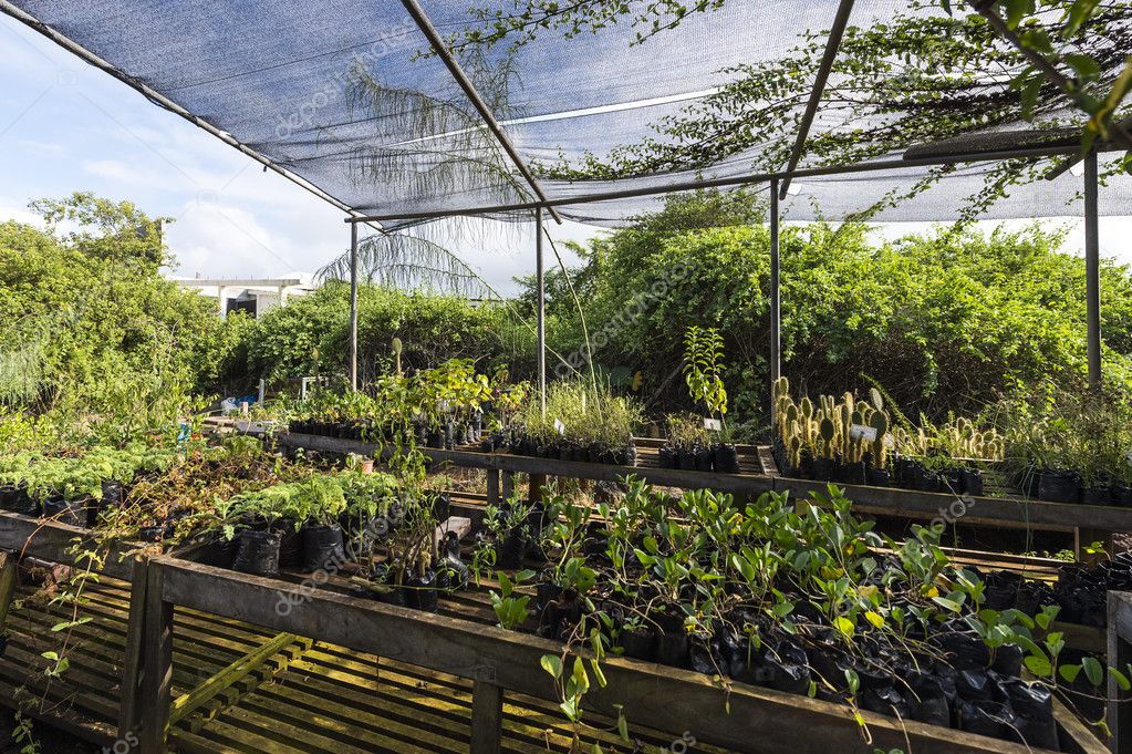 Darwin research station, Santa Cruz, Galapagos islands — Stock Photo