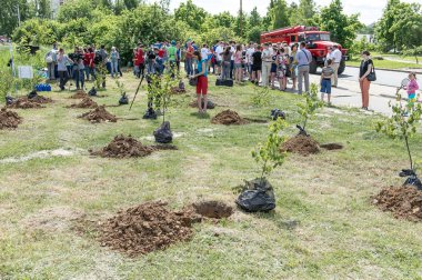 genç bir yeni park için ağaç dikme