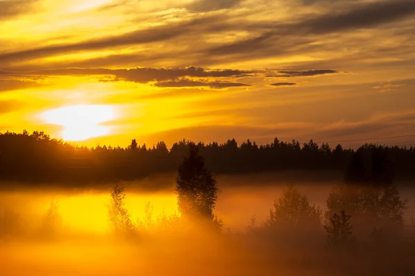 Zonsondergang en mist over Russische veld — Stockfoto
