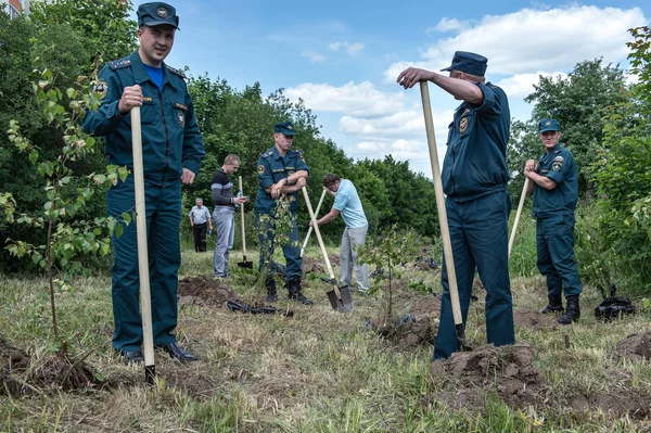 Strażacy pomagają roślina nowy park — Zdjęcie stockowe