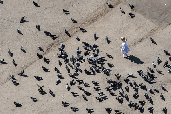 Little girl and pigeons — Stock Photo, Image