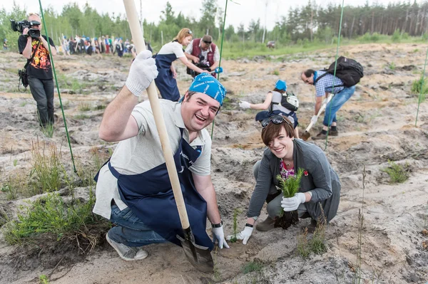 志愿者植树为新的林，俄罗斯 免版税图库照片