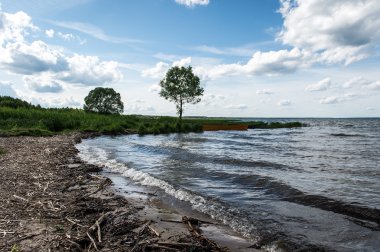 pleshcheevo lake, yaroslav bölge, Rusya Federasyonu