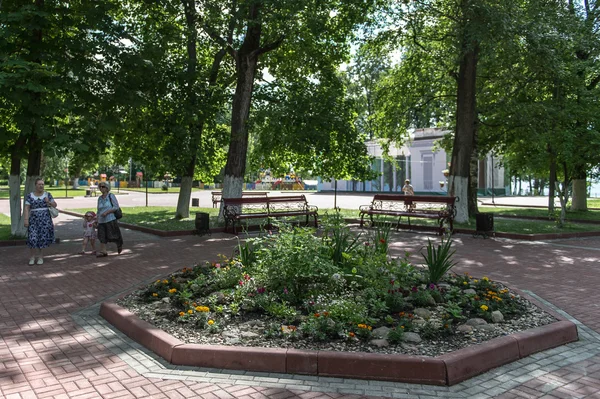 Flowerbed in the city park of Rostov town, Russia — Stock Photo, Image