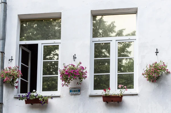 çiçek ile bir bina cephe. Yaroslavl, Rusya Federasyonu