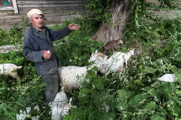 Cena da vida rural na aldeia russa , — Fotografia de Stock