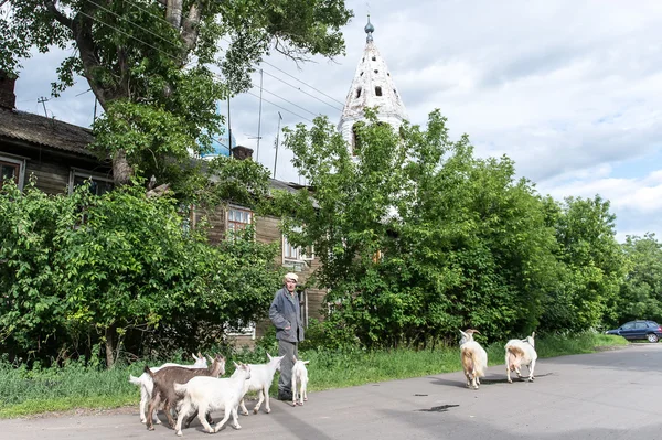 Sceny z życia na wsi w rosyjskiej miejscowości, Zdjęcie Stockowe
