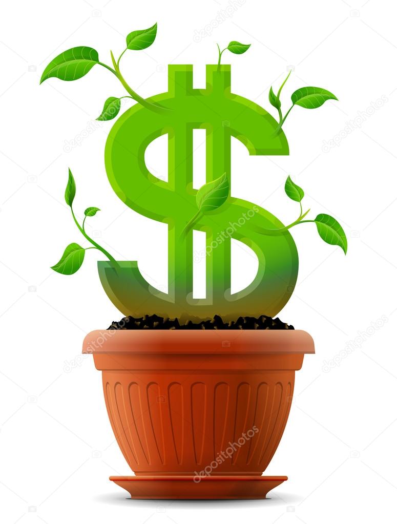 Growing dollar symbol like plant with leaves in flower pot