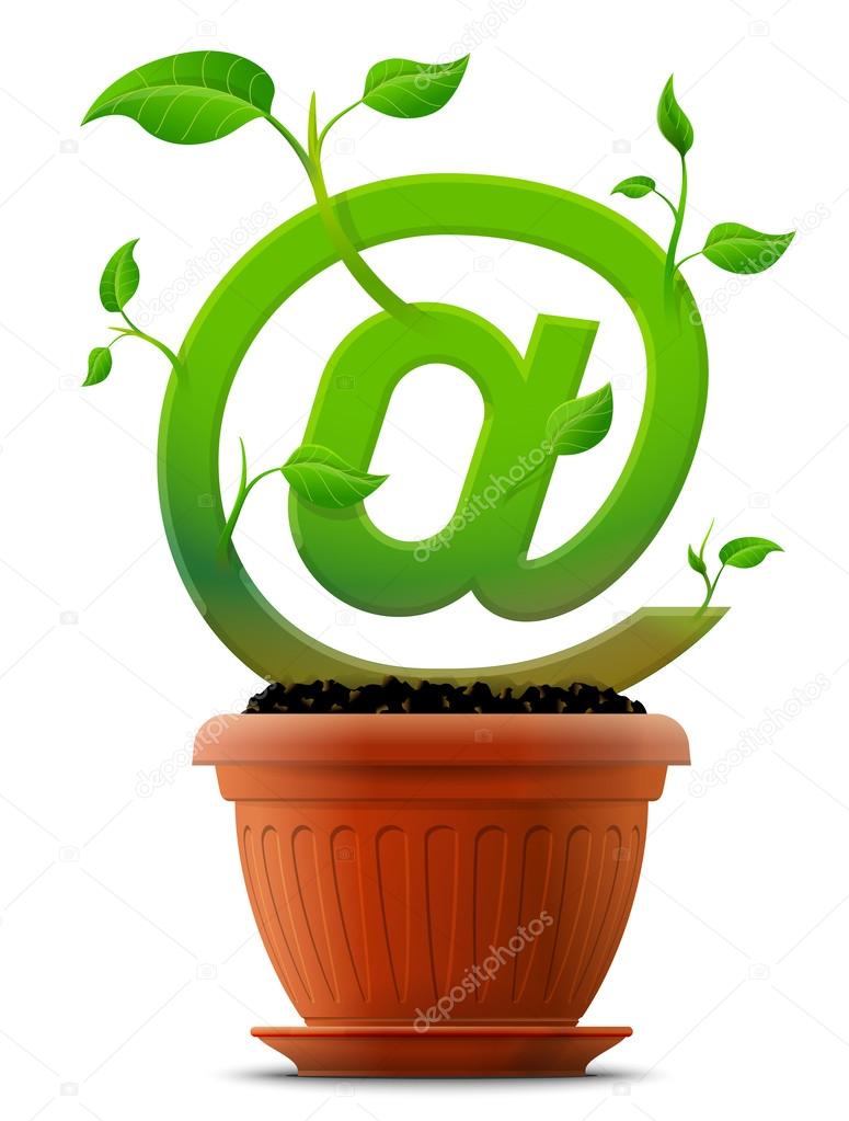 Growing mail symbol like plant with leaves in flower pot
