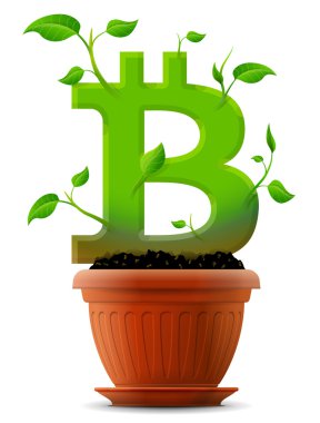 çiçek tencereye büyüyen bitcoin sembolü ile bitki gibi bırakır