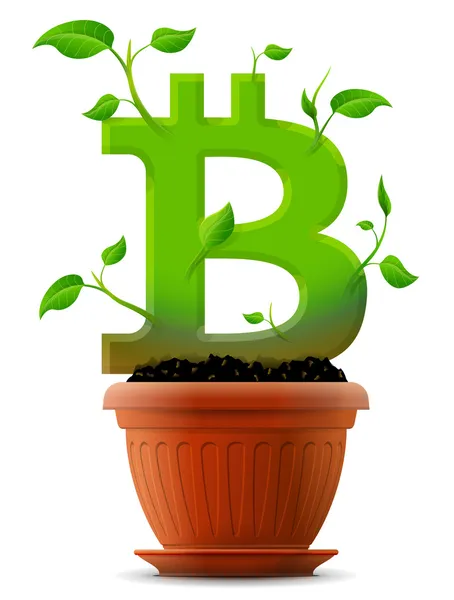 Crecimiento símbolo bitcoin como planta con hojas en maceta — Vector de stock
