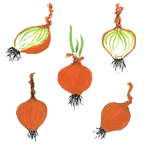 Set of hand drawn onion images — Stock Photo, Image