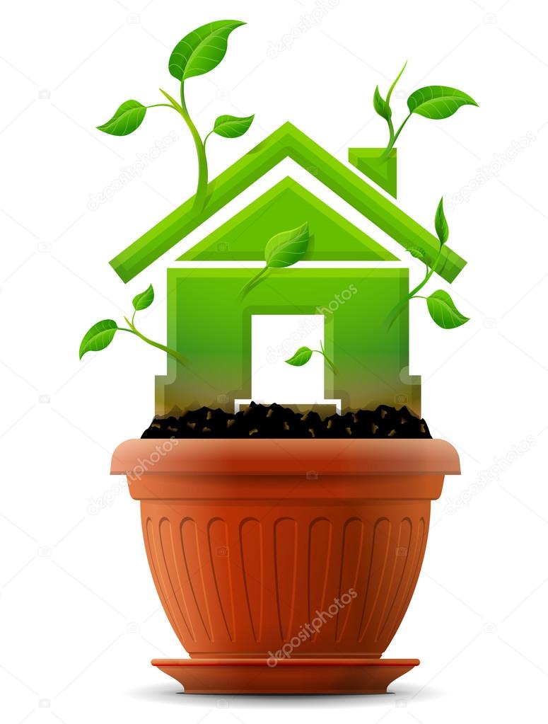 Growing house symbol like plant with leaves in flower pot