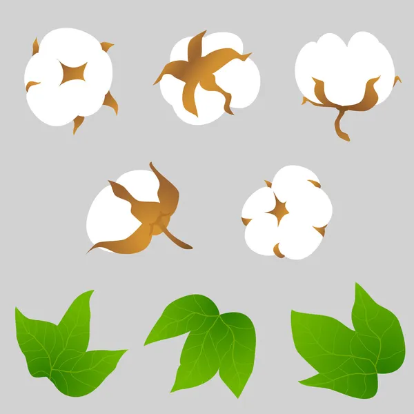 Conjunto de elementos vegetales de algodón — Vector de stock