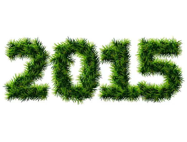 Ano Novo 2015 de ramos de árvore de Natal isolados em backg branco — Vetor de Stock