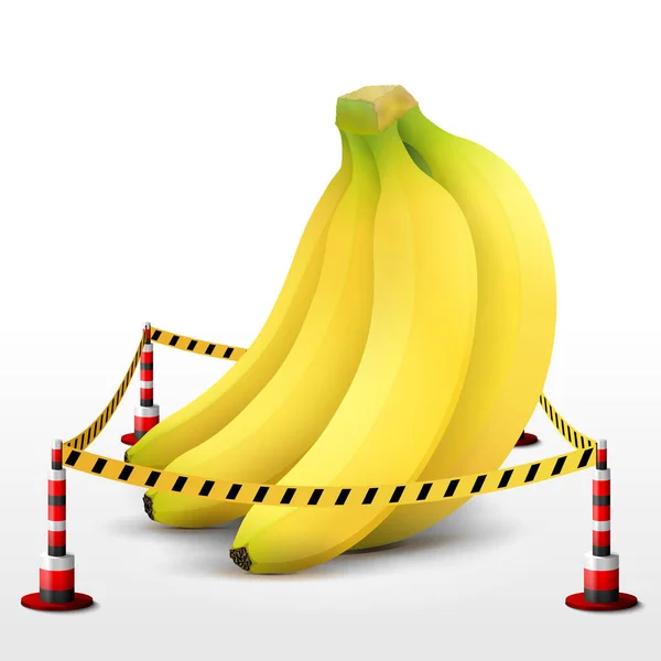 Fruta Plátano Ubicada Zona Restringida Montón Plátanos Rodeados Cinta Barrera — Vector de stock