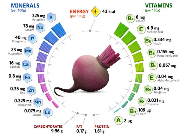甜菜块茎的维生素和矿物质 原始甜菜中营养成分的信息图 维生素 保健食品 营养品 饮食等病媒说明 — 图库矢量图片