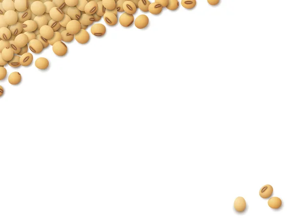 Raw Soybeans Isolated White Artboard Corner Top View Background Soy Royalty Free Stock Vectors
