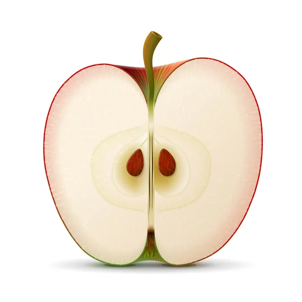 Apple Fruit Slice Close Section Apple Seeds Isolated White Background — Wektor stockowy