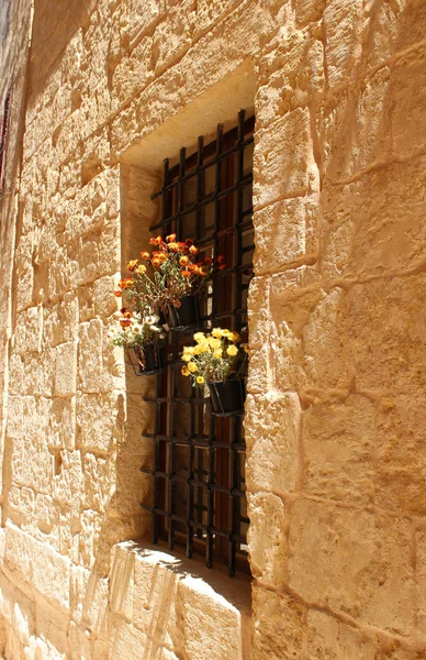 dentro de una entrada de Castillo.