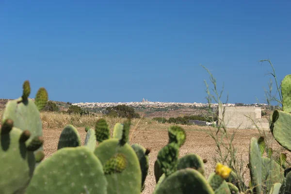 eski şehir manzarası