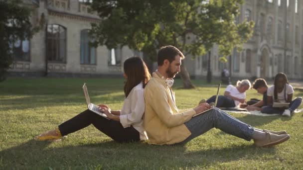 Estudantes universitários estudando em laptops na natureza — Vídeo de Stock