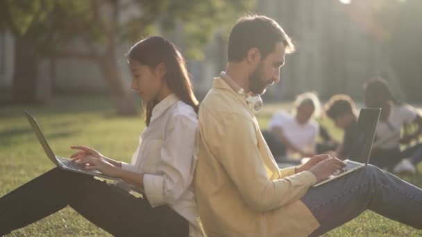 不同的伴侣坐在绿茵的草坪上学习 — 图库视频影像