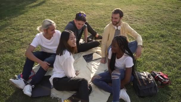 Divers camarades de classe bavardant tout en étant assis sur la pelouse — Video