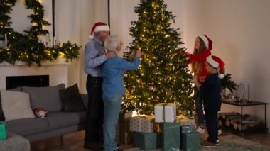 Çok nesildir aile süslemesi Noel ağacı