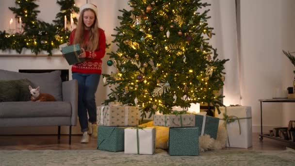 プリティーガールはクリスマスツリーの下に贈り物を置く — ストック動画