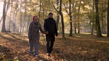 Cheerful old couple walking on fallen leaves