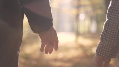 Elderly couple joining senile hands walking to sun