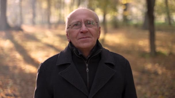 Portrait of old man posing on camera in park — Videoclip de stoc