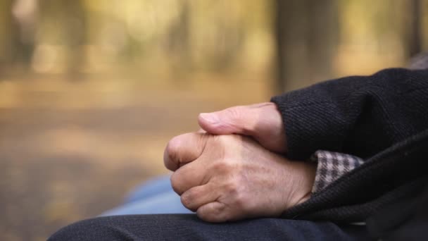 Joined hands of aged couple sitting in autumn park — Stockvideo