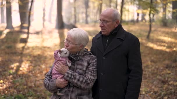 Happy old couple enjoying walk with pet in park — стоковое видео