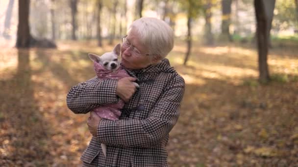 Senior woman kissing her dog pet in park — Stockvideo