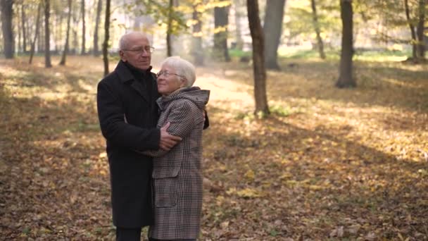 Happy old couple dancing in autumn park — 비디오