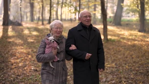 Ancianos pareja pasar tiempo en paseo con el perro — Vídeos de Stock