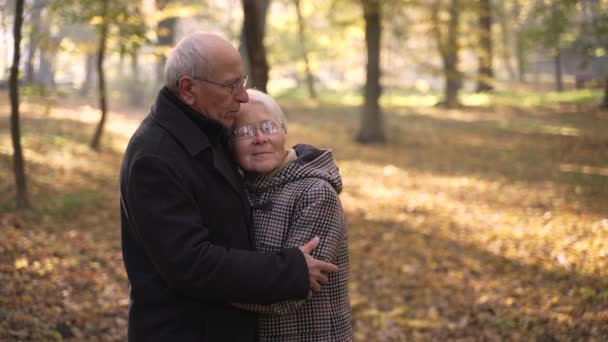 Loving elderly couple cuddling among autumn park — Stockvideo
