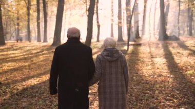 Senior couple walking on leaves to sun in park